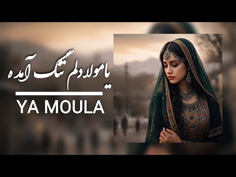 یا مولا دلم تنگ آمده اثر احساسی از استاد ساربان     