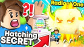 Lets Hatch A Secret Pet For My Birthday Bubblegum Simulator Roblox Youtube - roblox the secret life of pets obby wcodeprime8 mrs