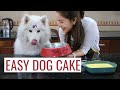 Healthy and Delicious Dog-Friendly Cake Recipe: Step-by-Step Tutorial for Pet Owners