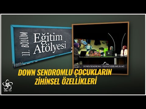 Video: Özel eğitim yasası PL 94 142 Tüm Engelli Çocukların Eğitimi Yasası ve ardından yeniden yetkilendirilen IDEA'nın ana noktası neydi?