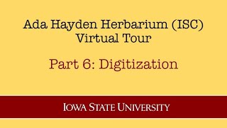 Famous Part 6 Digitization Net Worth
