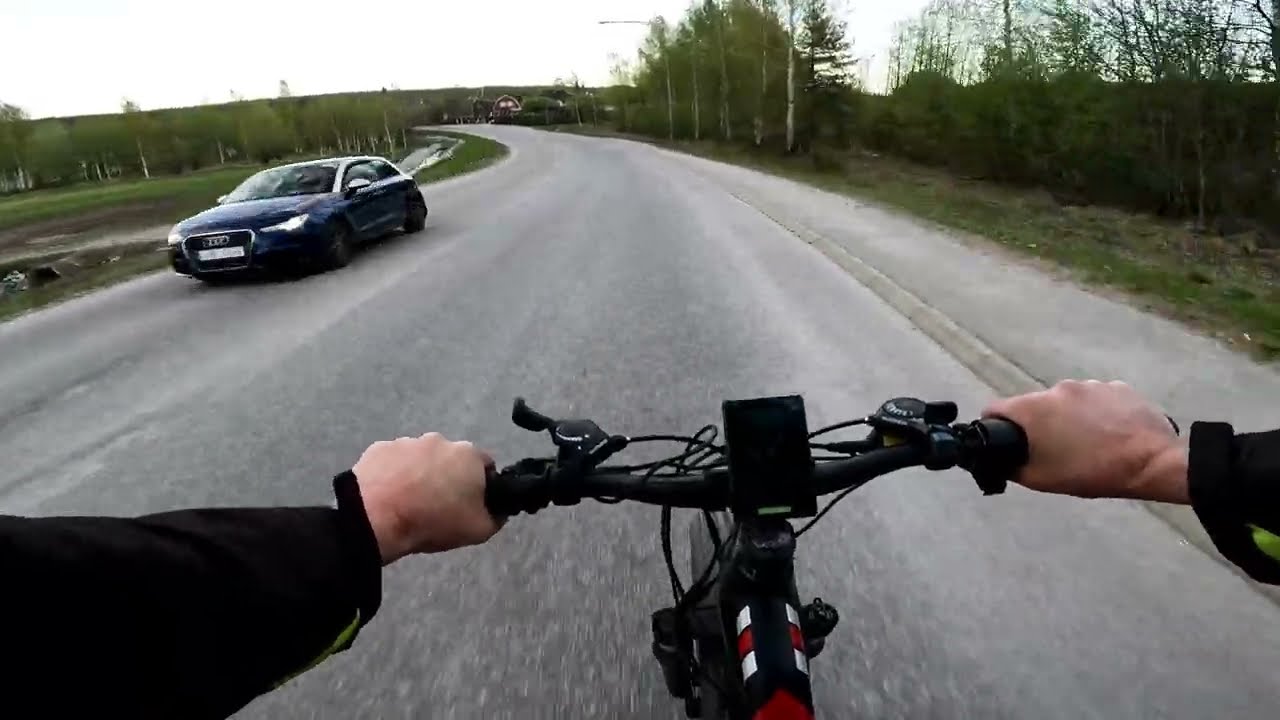 Speed Test Randride YX90 1000W Fat Tire höll på gå illa... för en fågel