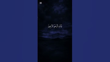 “آية تذكّرك بالصبر على الشدائد | وَأَيُّوبَ إِذْ نَادَىٰ رَبَّهُ | القارئ هيثم الدخين ￼