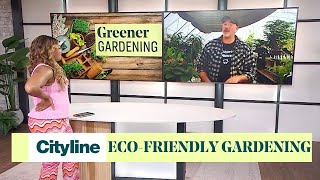 3 ways to make your garden more eco-friendly