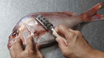 How To Scale a Fish