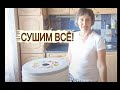 Сушилка для овощей и фруктов. Заготовка на зиму. Что можно насушить в электросушилке для овощей