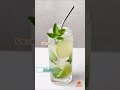 Mojito rum mint  sugar lime soda white wine vodka whiskey