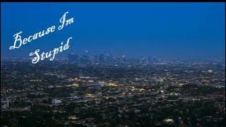 Because Im Stupid ( piano instrumental )