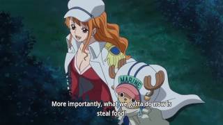 Nami And Chopper Found Food Storage One Piece Ep 781 With English Subtitles Youtube