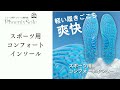 スポーツ 用 インソール 高密度 衝撃吸収 歩きやすい シリコン 中敷 登山 長距離 歩行 ウォーキングシューズに　スポーツ用タイプE