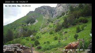 Stara planina, Ray hut, 2026-06-18
