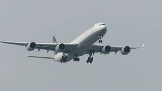 Lufthansa Lh726 A346 D-Aihd Landing At Shanghai Pudong Airport