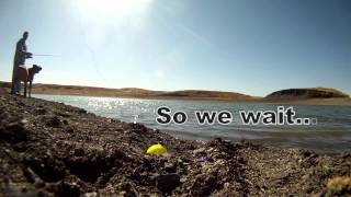 20 minute angler oahe pike