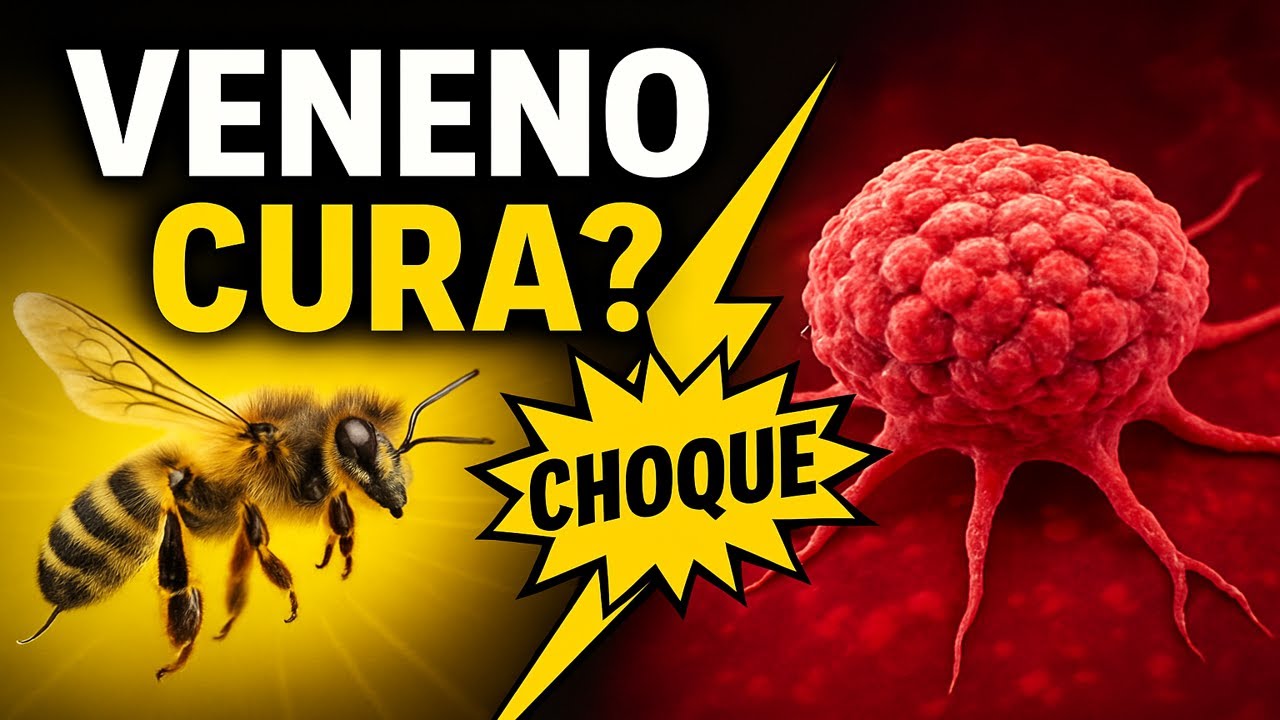 ABELHAS vs. CÂNCER: o que a ciência acabou de descobrir