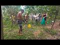 5 Giant Python &amp; Snake Rescues That Shocked the World | Incredible Wildlife Rescue Moments