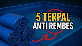 5 Rekomendasi Terpal Kolam Ikan ANTI REMBES Terbaik 2025! (Paling Awet & Kuat)
