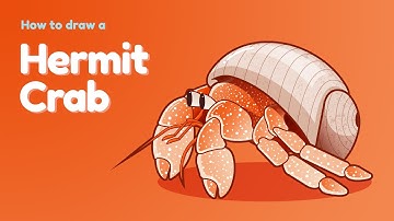 How to draw a sea animal - Hermit Crab? Easy and simple drawing | Animal character design tutorial