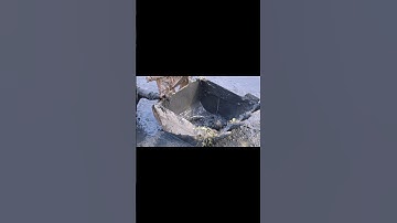 Tát đìa bắt cá #hienonha #mientay #cuocsong #shorts