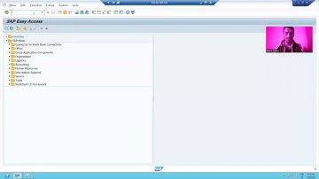 13 - Basics of SAP and ABAP - ABAP Workbench and Transaction Code