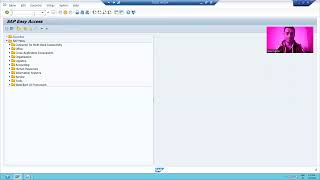 13 - Basics of SAP and ABAP - ABAP Workbench and Transaction Code