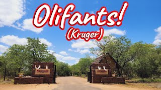 S1 - Ep 431 - Olifants Rest Camp!