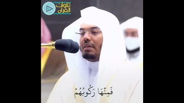 تلاوة إبداعية للشيخ ياسر الدوسري👌🏻✨ | #تلاوات_القرآن