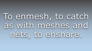 What does Inmesh mean