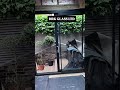Windows and DOORS