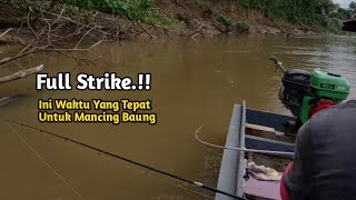 Sudah kuduga!!! Ini waktu yang pass mancing ikan baung, joran ku tak berhenti melengkung