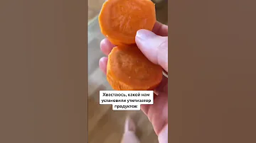 Смешные попугаи🦜 Александрийский попугаей ест морковку. Можно ли попугаям морковь? Волнистый 💚