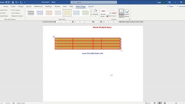 Achsah Class 5 Computer Chapter 6 Working with Tables Part 2