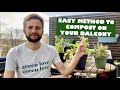 Growing food  composting on your balcony