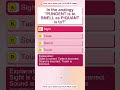 Master NLN NEX Quick Grammar Rules Before Test Day