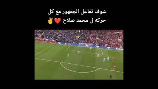 هدف محمد صلاح وتفاعل الجمهور معه