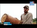 Старинный коч поморов воссоздали братчане всего за год