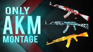 Only Akm Montage Hunter Plays Op