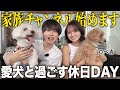 アウトレットに愛犬たちと買い物に行ったら大変すぎたwww