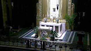 Archdiocese of Cincinnati Live Stream