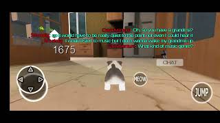 Fan-collab! | Kitten Cat Simulator 3D Craft by CatAdventure 231 views 10 months ago 8 minutes, 53 seconds
