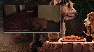 Lady And The Tramp 2019 - La La Lu (Eu Spanish) [HD]