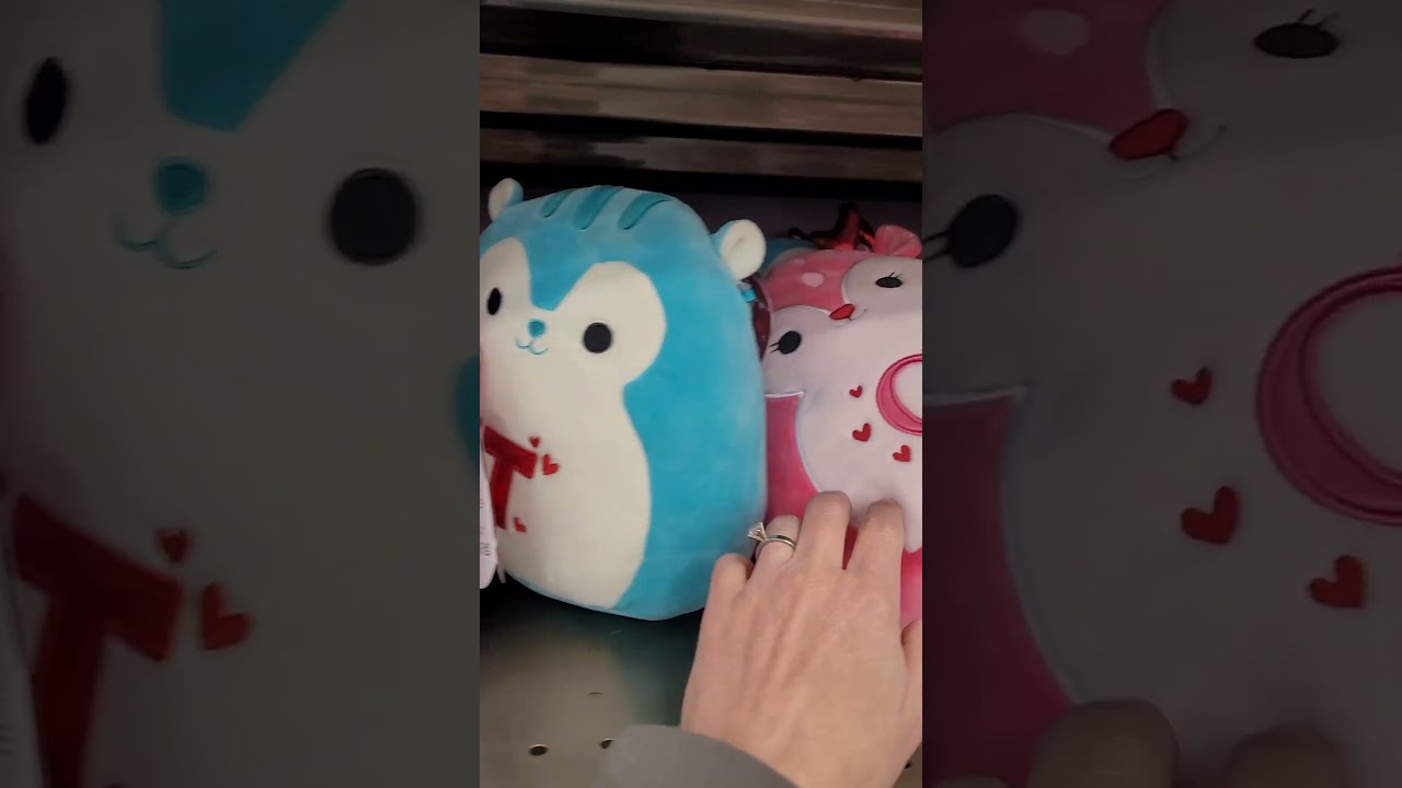 Squishmallows Valentine S TY Beanie Boos Bluey Hunting New Plushies