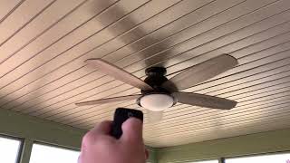 52" Home Decorators Collection Ackerly Ceiling Fan