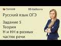 Русский язык ОГЭ 2019. Задание 5. Теория. Н и НН в разных частях речи