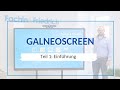 Der Galneoscreen - Teil 1 - Einführung und Übersicht