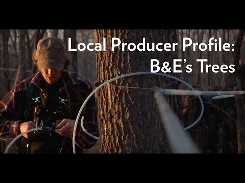 Local Producer Profile--B+E's Trees of Newry, WI