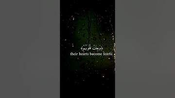 انما المؤمنون الذين اذا ذكر الله وجلت قلوبهم تلاوه من سوره الانفال القارئ محمد المنشاوي