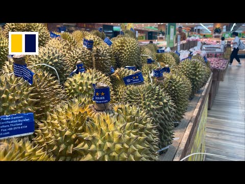 Heatwave panics Thai durian farmers