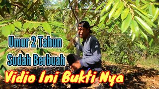 Kata Siapa Pohon Durian 2 Tahun Nggak Bisa Berbuah, Ini Bukti Nya