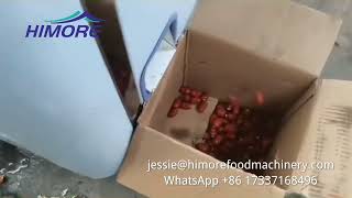 Automatic Dates Pitting Machine