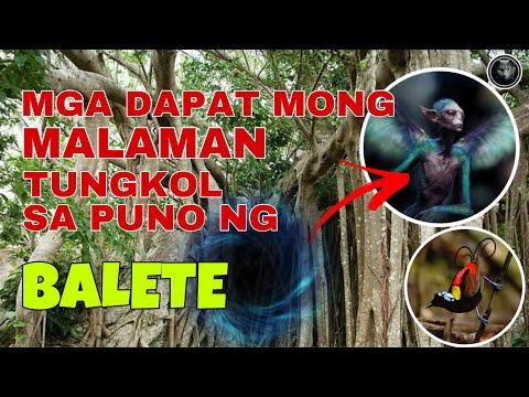 Video: Ano ang hitsura ng puno ng arbutus?